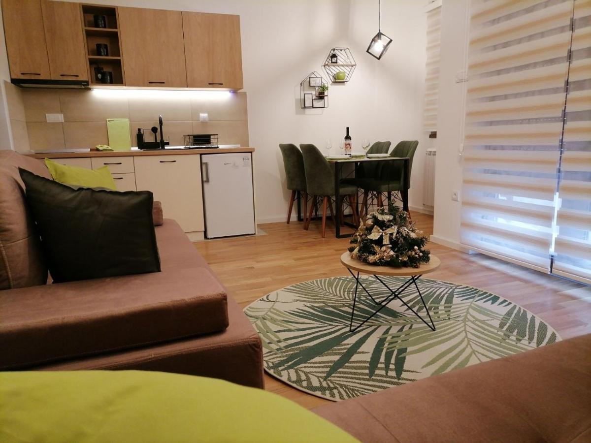 קאלודיירסקה בארה Apartman Pahuljica Tara מראה חיצוני תמונה