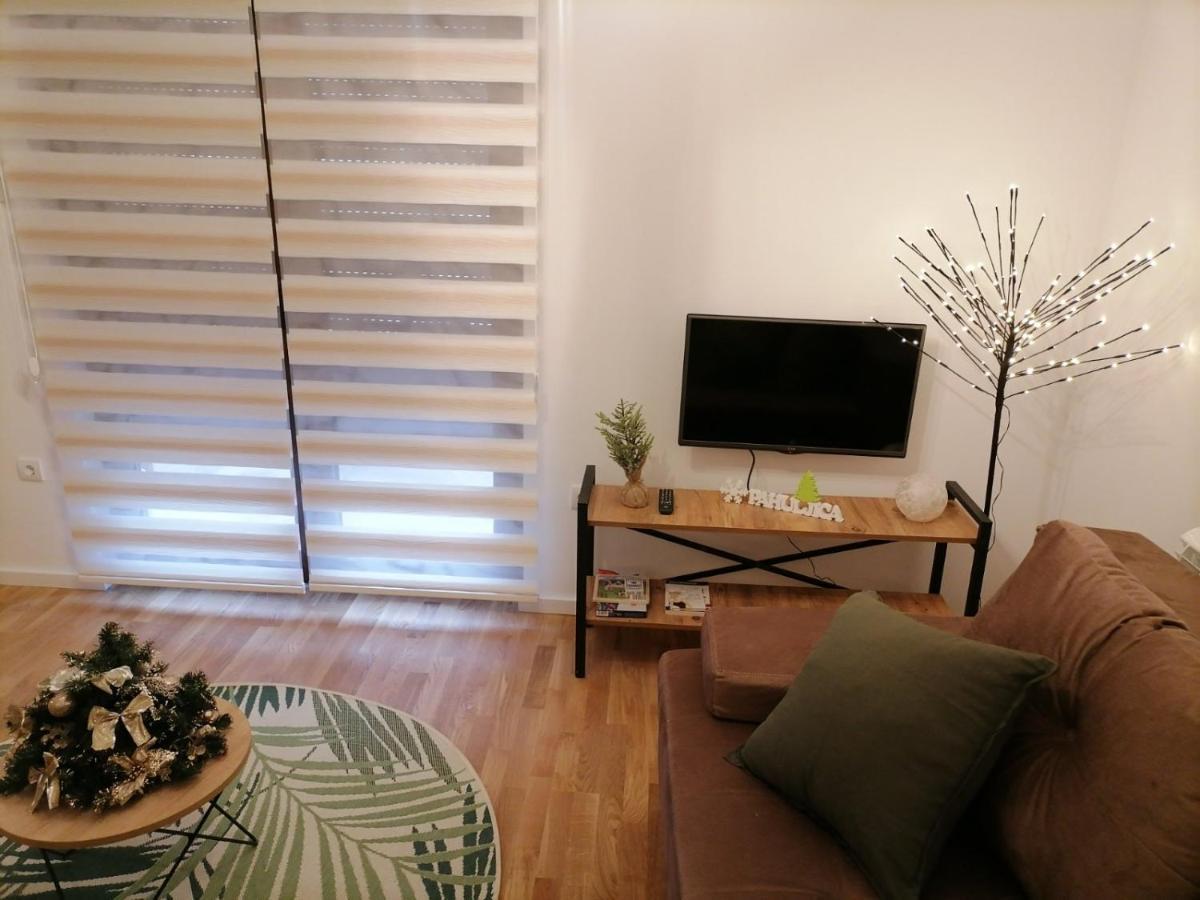 קאלודיירסקה בארה Apartman Pahuljica Tara מראה חיצוני תמונה